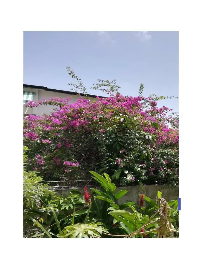 Appartement Villa Bleue Sainte-Anne